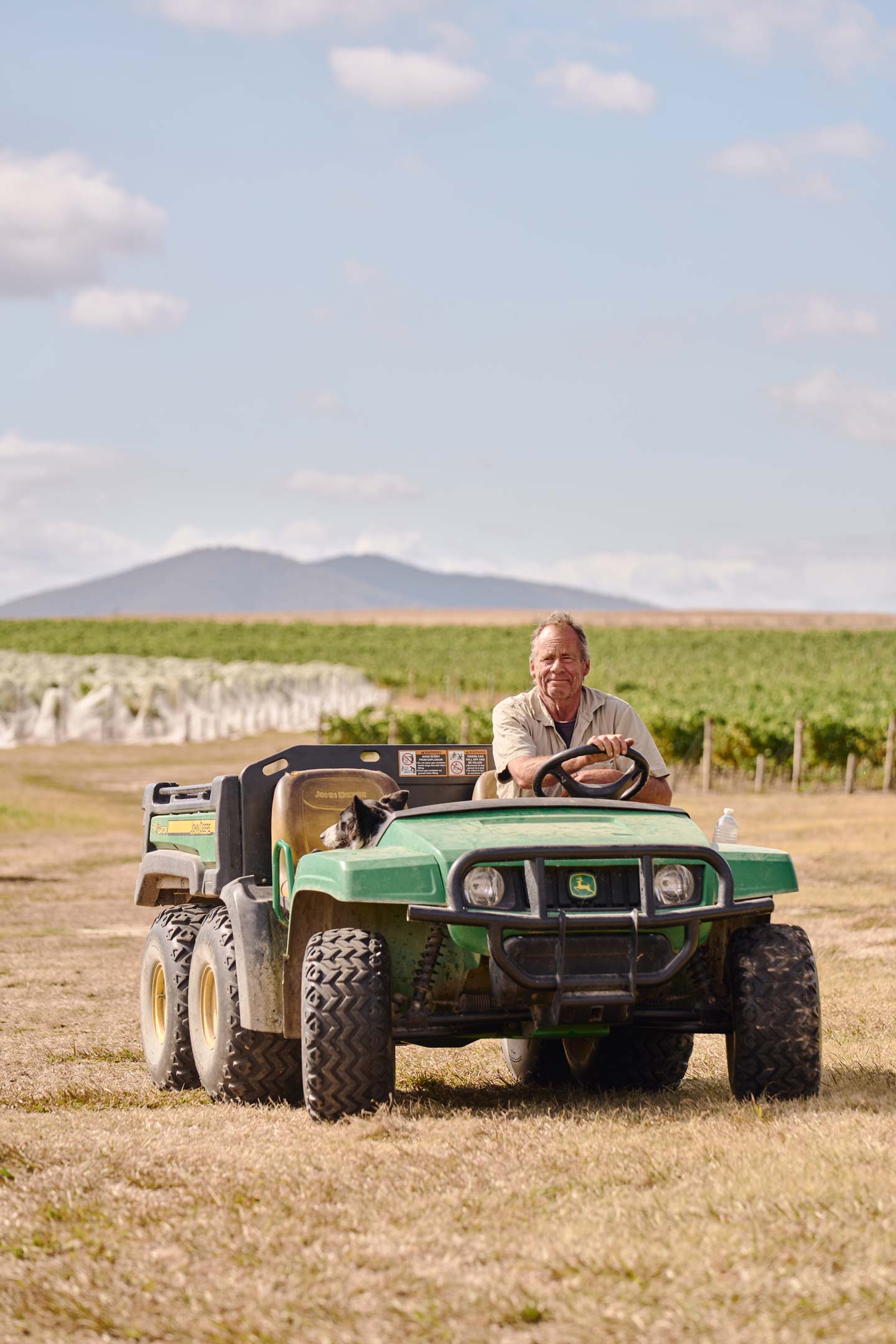 Zonzo Winemaking Harvest Brian