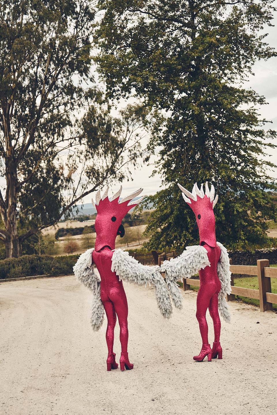 Zonzo Weddings Pink Cockatoos