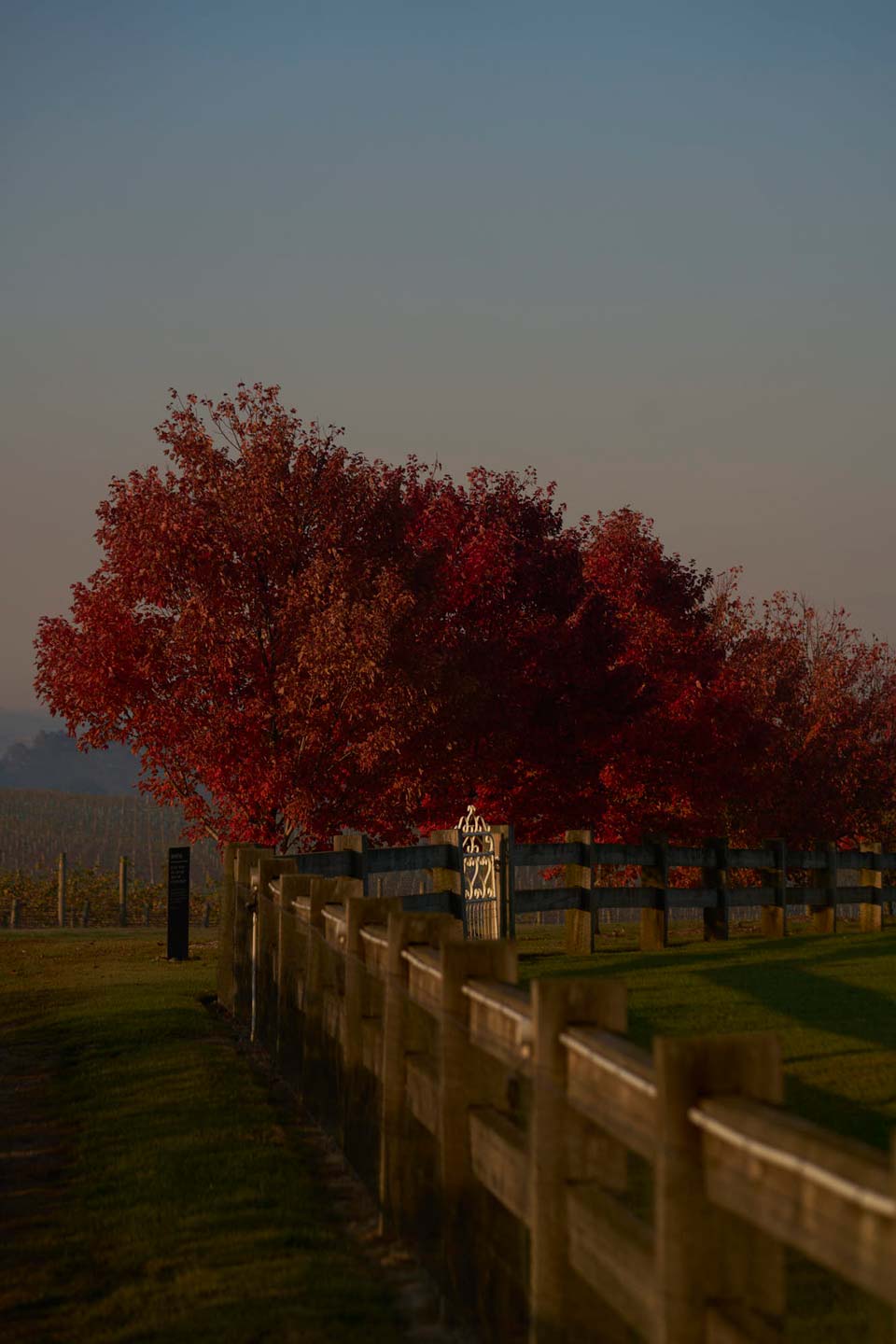 Zonzo Cellar Door Estate