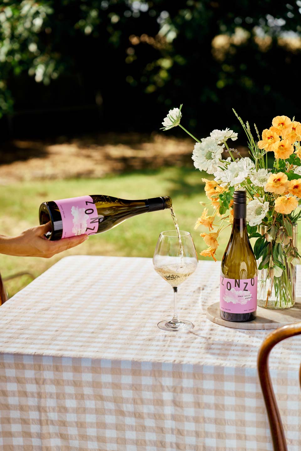 Scoperta Ansonica 2023