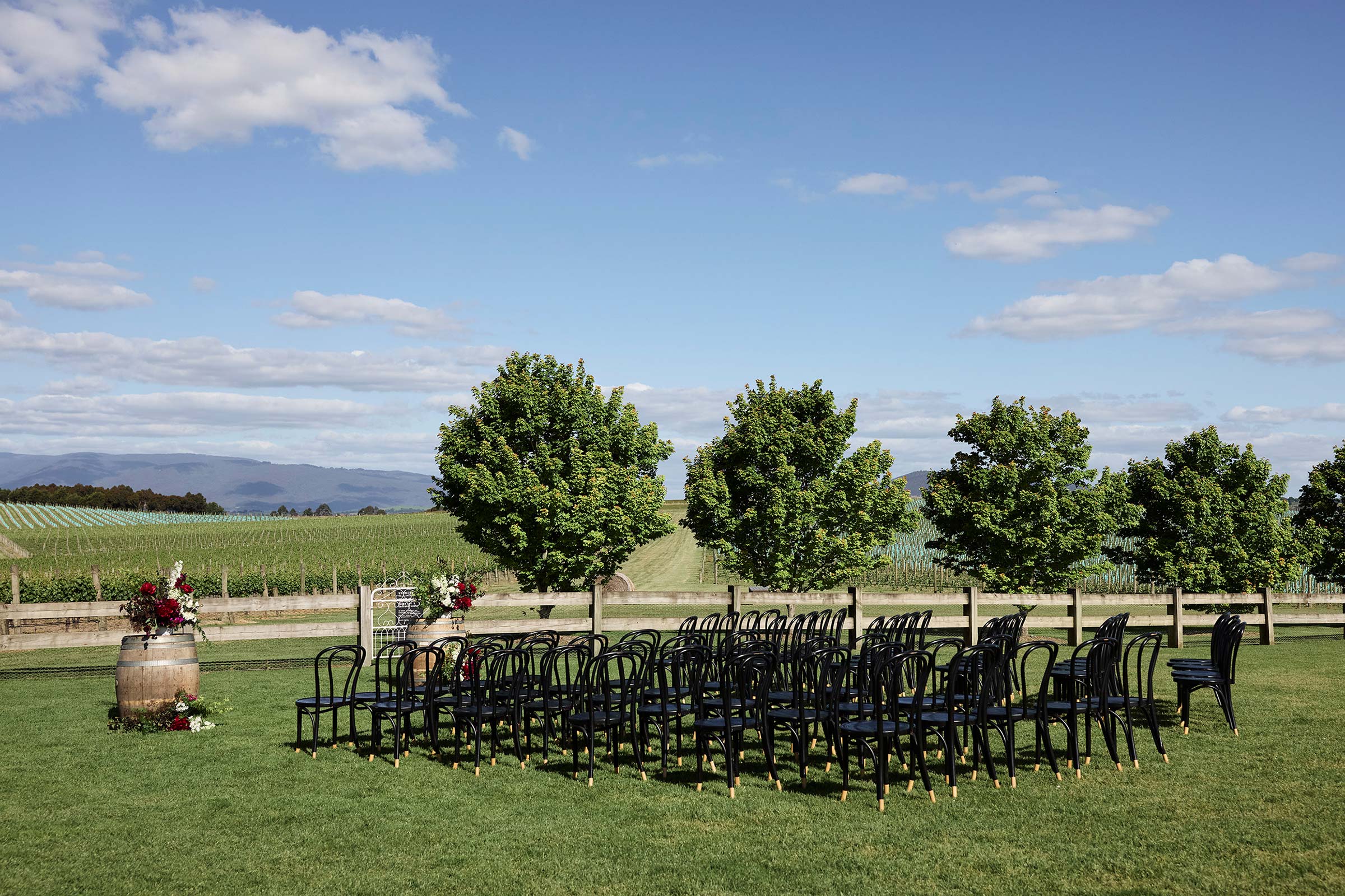 Zonzo Weddings Outdoor Ceremony Vineyard
